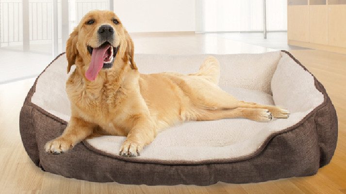 último caso de la compañía sobre Cama moderna de lujo del perro casero del amortiguador de la cama del animal doméstico